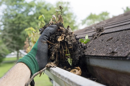 The Complete Homeowner’s Guide to Gutter Cleaning and Clog Prevention